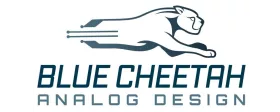 Blue Cheetah Analog Design